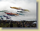Saachi-Kite-Festival-Jul09 (39) * 3072 x 2304 * (2.67MB)